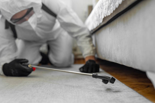 Professional Bed Bug Control technician working in Monee, IL